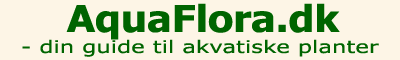 aquaflora.dk