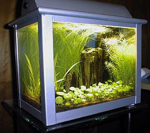 9 liters nanoakvarium