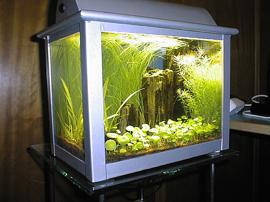 Mit 9 liters nanoakvarium i 1999